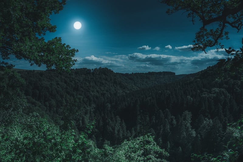 Moon Jewelry